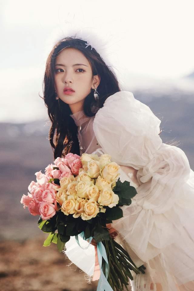 娱乐大爆料玫瑰,玫瑰背后的惊人真相大揭秘