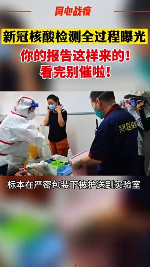 核酸爆料视频大全最新,最新视频大全深度解析 第2张 核酸爆料视频大全最新,最新视频大全深度解析 第2张