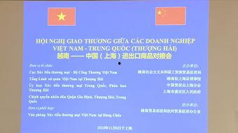 嘉定新闻爆料电话号码,揭秘市民身边事，倾听民声传递正能量